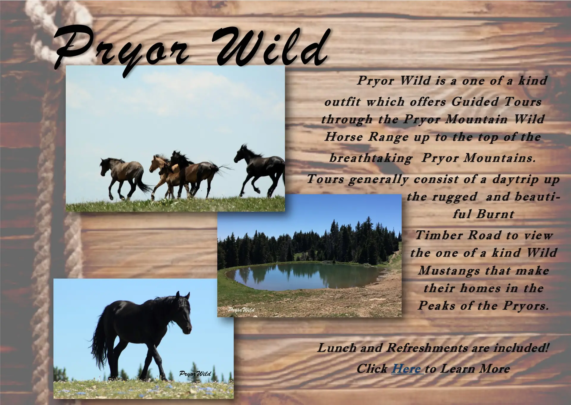 PryorWild Mustang Tours