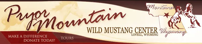 Pryor Mountain Wild Mustang Center